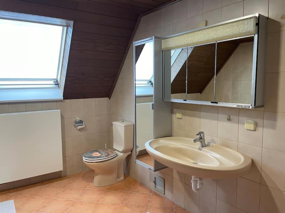 Maisonette Apartment Family & Business Naehe Heidelberg I Kueche I 6 Schlafplaetze Sinsheim Bagian luar foto